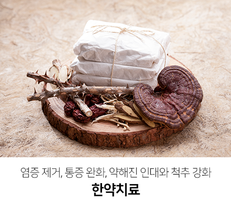 염증-제거-통증-완화-약해진-인대와-척추-강화-한약치료