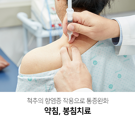 척추의-항염증-작용으로-통증완화-약침-봉침치료