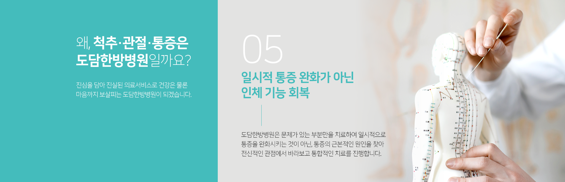 일시적-회복이-아닌-인체-기능-회복