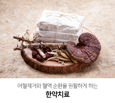 어혈제거와-혈액-순환을-원활하게-하는-한약치료