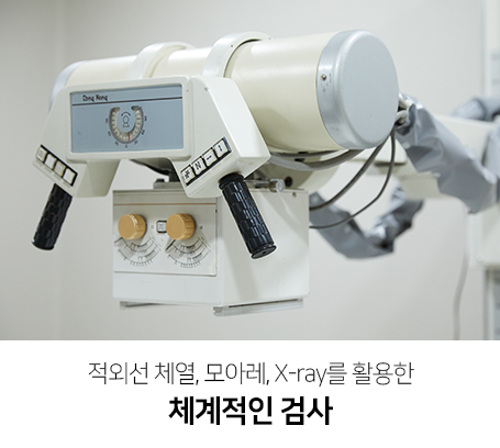 적외선-체열,-모아레,-X_ray를-활용한-체계적인-검사